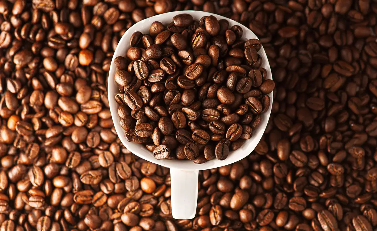 Roasted coffee beans in a white cup