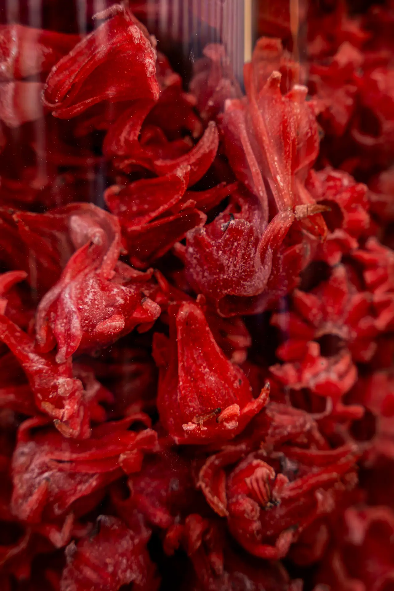 Dried red hibiscus (karkadeh) calyces